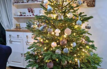 Cute Quirky Cottage - Foto 3