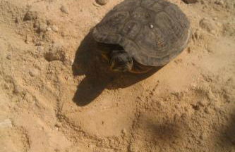 Vento Del Sud - Foto 44