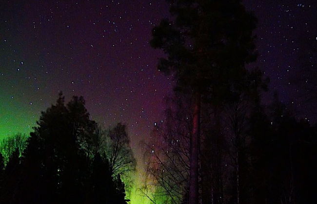 Vildmarks Lodge - Photo 66