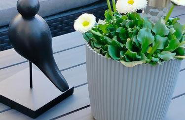 Apartament na Letniej - Foto 1