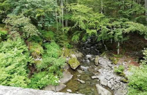 Appartamento Monolocale La mia Casina di Montagna - Foto 24