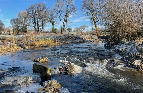 Maesyfelin Isaf Apartment - Foto 28