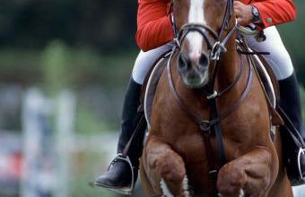 Casa Buganvília - Foto 63