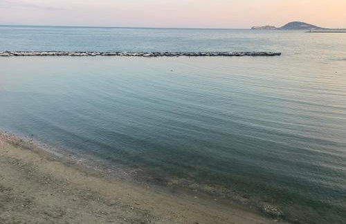 Il nido dell’albatros - Foto 11