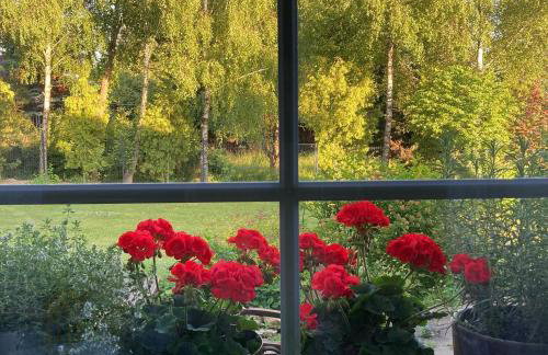 Stasiówka Gospodarstwo Agroturystyczne - Foto 28