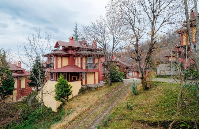 Villa With Spacious Garden in Sapanca - Photo 1