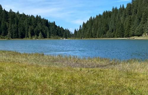 Chalet Olympie, Appartement avec balcon et vue montagne, ski aux pieds, Méribel-Mottaret - Foto 5