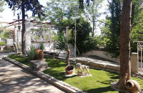 Wild Paradise - Foto 2