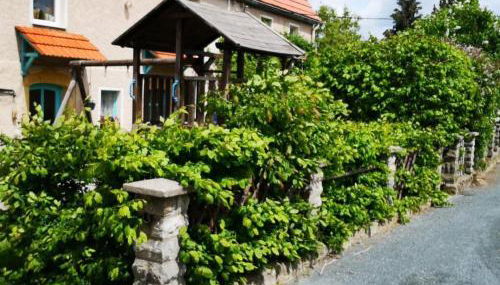 Apartment LandurlaubErzgebirge by Interhome - Foto 3