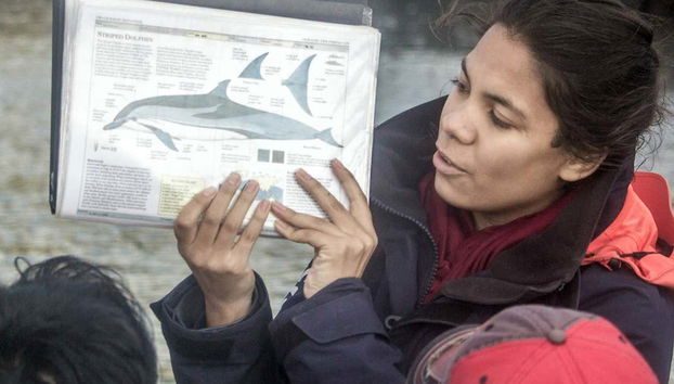 Whale Watching + Vila Islet Boat Tour - Photo 4