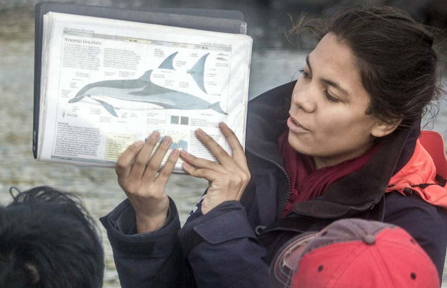 Avistamiento de cetáceos + Islote de Vila Franca - Foto 6