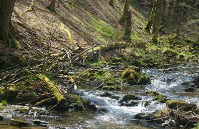 Fewo Zum Sonnenschein - Foto 24