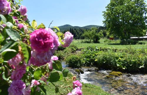 Plitvice Panta Rei - Foto 15