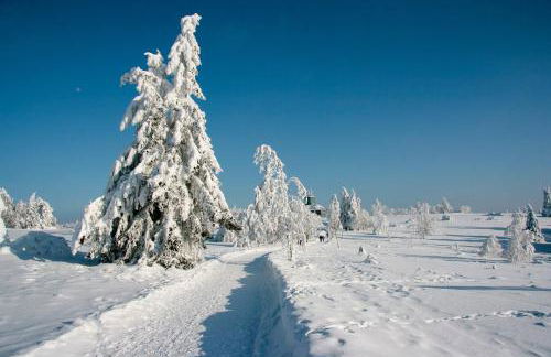 Ferienwohnung Astenpanorama - Foto 19
