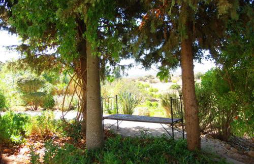 Ninho Da Poupa - Foto 49