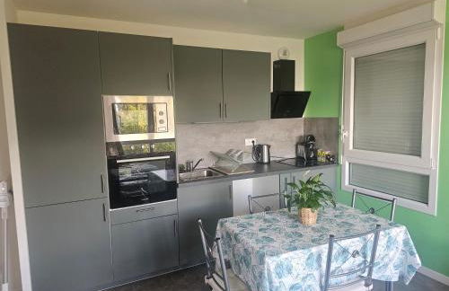 grand appartement 2 pièces en résidence - Foto 14