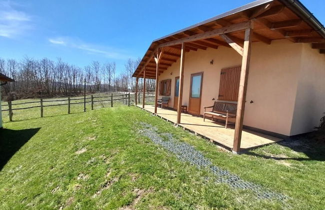 Agriturismo D'Apostolo - Foto 59