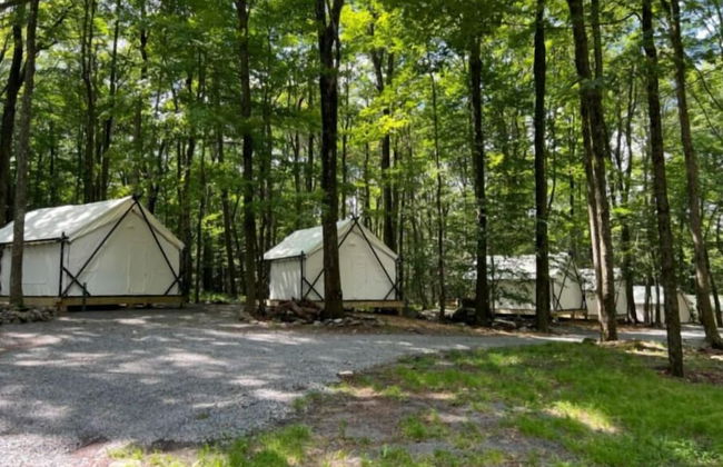 Ferncrest Campground - Photo 27