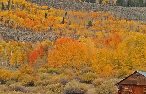 Wapiti Retreat at 22 West Cabins and Recreation - Foto 15