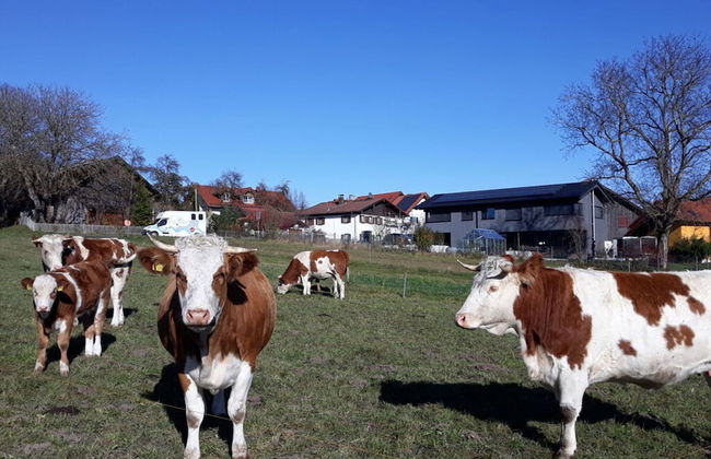 Schleichhof Ammersee - Foto 41