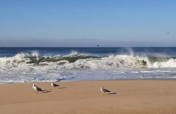 Buarcos Beach House - Foto 29