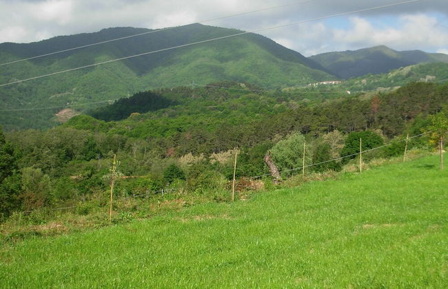 Holiday Home in Canossa With Swimming Pool, Garden, Barbecue - Foto 53