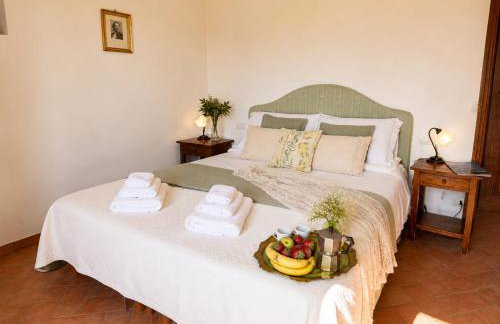 Agriturismo il Pino - Bioagricoltura - Foto 52
