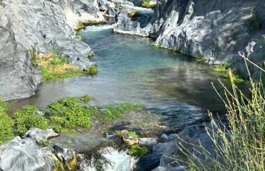 Poggio Roseto - Foto 96