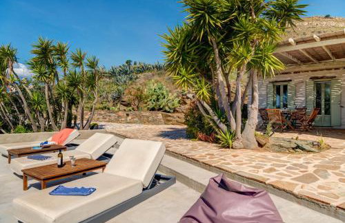 MEGAS GIALOS HARMONY - Foto 75