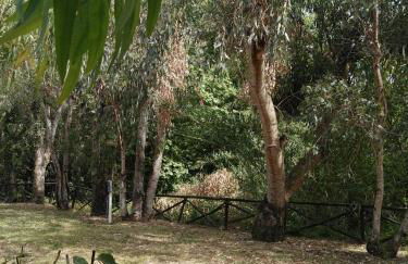 Agriturismo La Petrosa - Foto 102