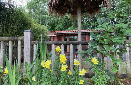 Gîte les chênes verts - Périgord noir proche grottes de Lascaux - Foto 10