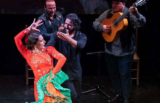 Espectáculo en el Teatro Flamenco Triana - Foto 2
