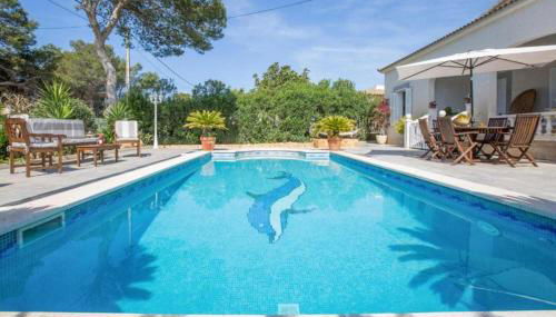 Can Navarro - Foto 2