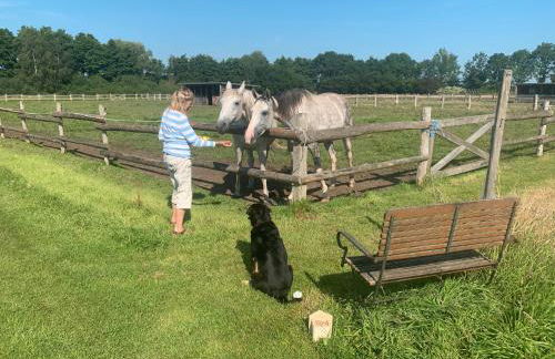 Schwalbennest - Foto 22