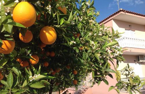 Secret Garden Τemeni - Foto 27