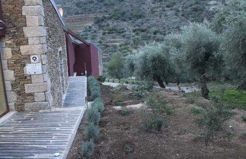 Quinta Vale de Carvalho - Foto 52