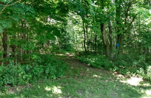 Mountain Retreat - Photo 55