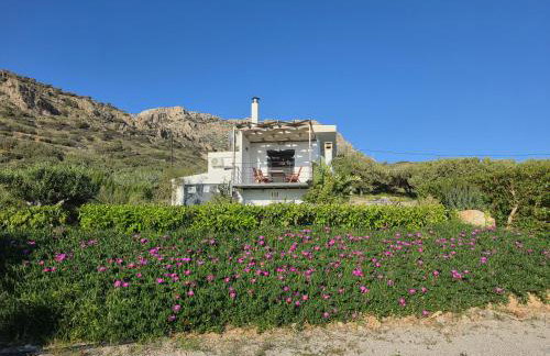 Casa di Olive - Photo 49