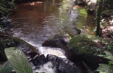 Reserva Atibaia / Casa de Montanha - Photo 17