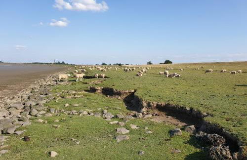 Johannes Hof - Foto 37