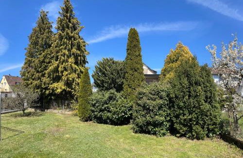 Gemütliche Dachgeschosswohnung - Photo 15