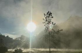 Sítio Koi - Photo 41