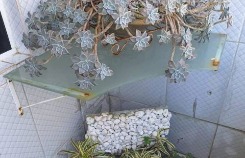 Apartamento de Praia - São Francisco do Sul - Foto 80