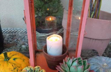 Agroturystyka Jak Makiem Zasiał Dworki 10 - Foto 59