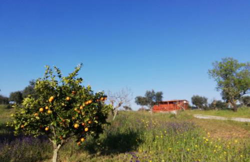 Burrico D`Orada - Rural Stays & Wine Country Tours - Foto 35