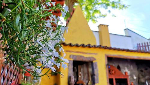 O Refúgio - Espaço natural, amplo e privado - Photo 5