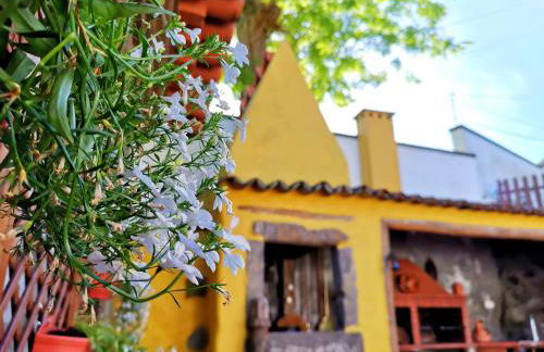 O Refúgio - Espaço natural, amplo e privado - Photo 5