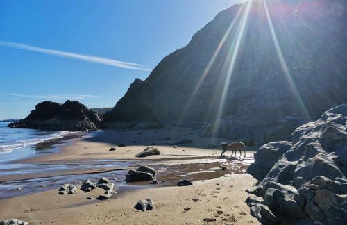 Blaenfforest Rose Cottage Newcastle Emlyn - Photo 21