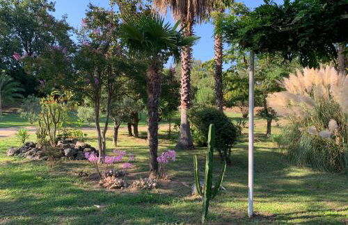 Résidence EMILIA - Foto 33