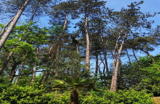 Holiday Home in Holten Near Lake Ijssel - Foto 19